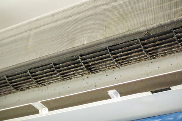 Best Local Air Duct Cleaning Services  in Pho, IL